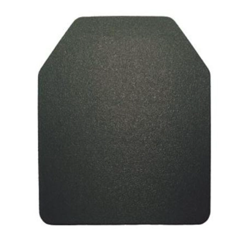Slate Solutions D1652 LEVEL III PLATE – The Activity Group